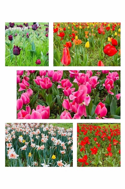 11c4e86c78bf4593b363b3f4963981d4.jpg 3044am永利集团官网