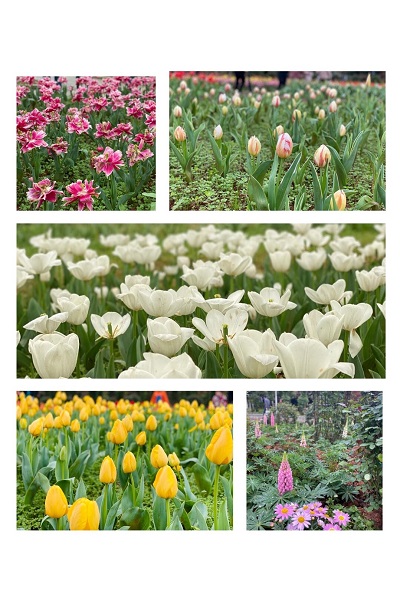 c8b284d45f0140f4abdc4e6cbd453b8e.jpg 3044am永利集团官网