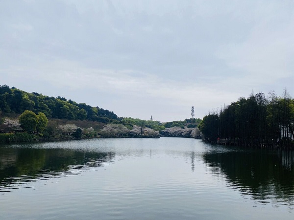 3044am永利集团官网