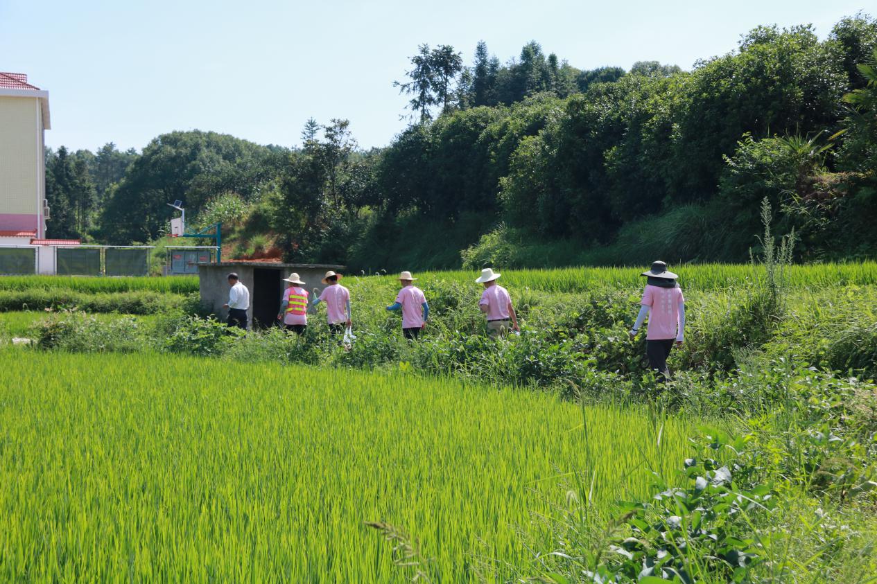 3044am永利集团官网