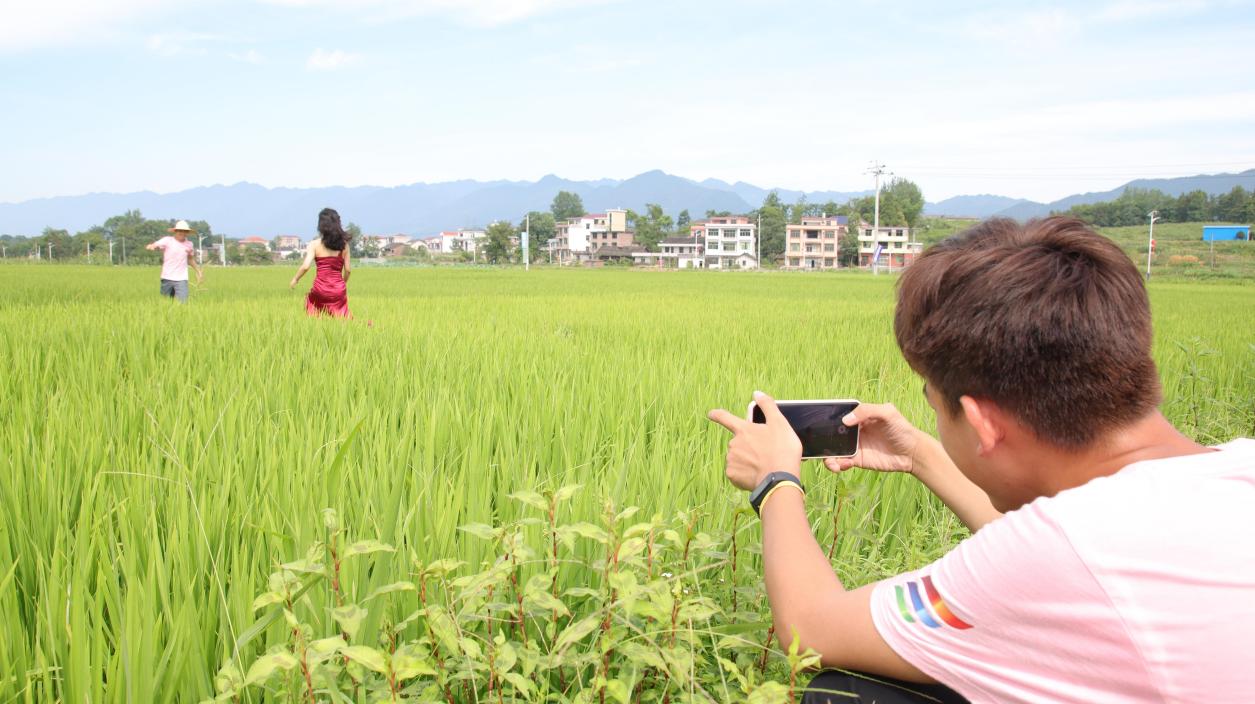 3044am永利集团官网