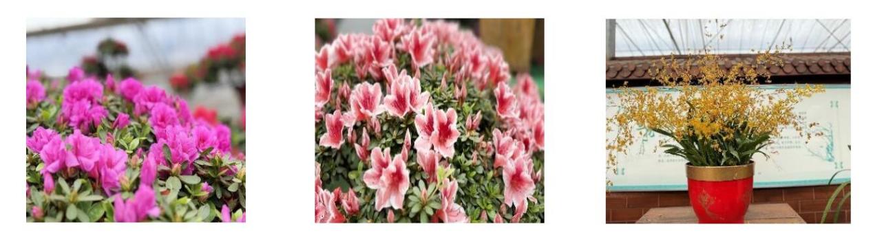 3044am永利集团官网