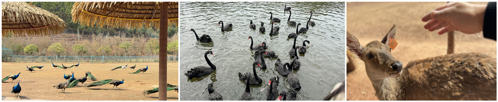 3044am永利集团官网