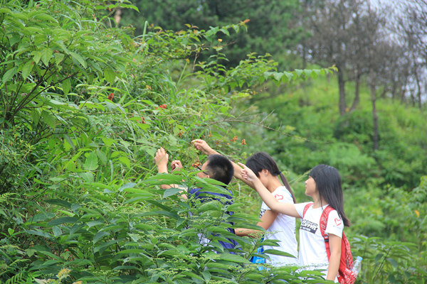 3044am永利集团官网